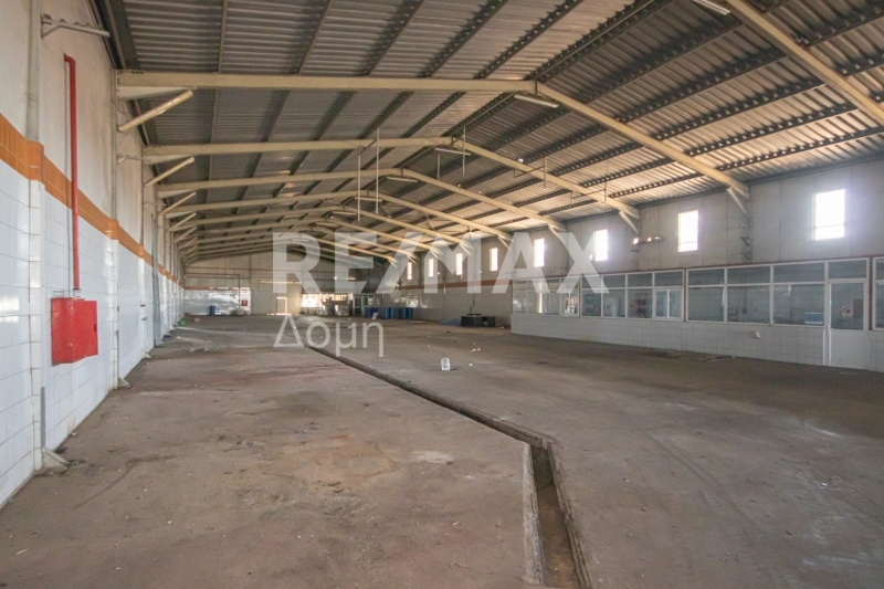 10 Bed, HouseFor Sale, Neos Platanos, Almiros, Magnesia