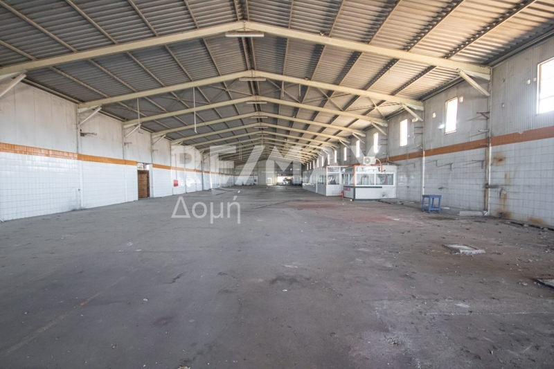 10 Bed, HouseFor Sale, Neos Platanos, Almiros, Magnesia