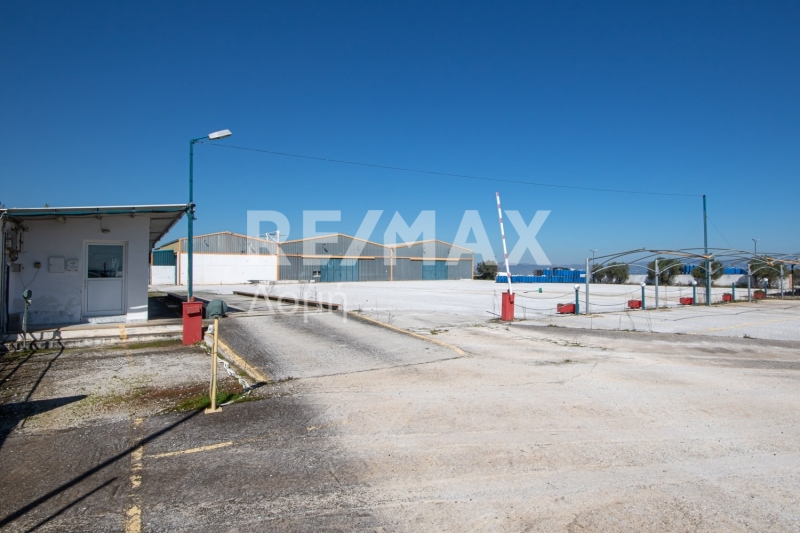 10 Bed, HouseFor Sale, Neos Platanos, Almiros, Magnesia