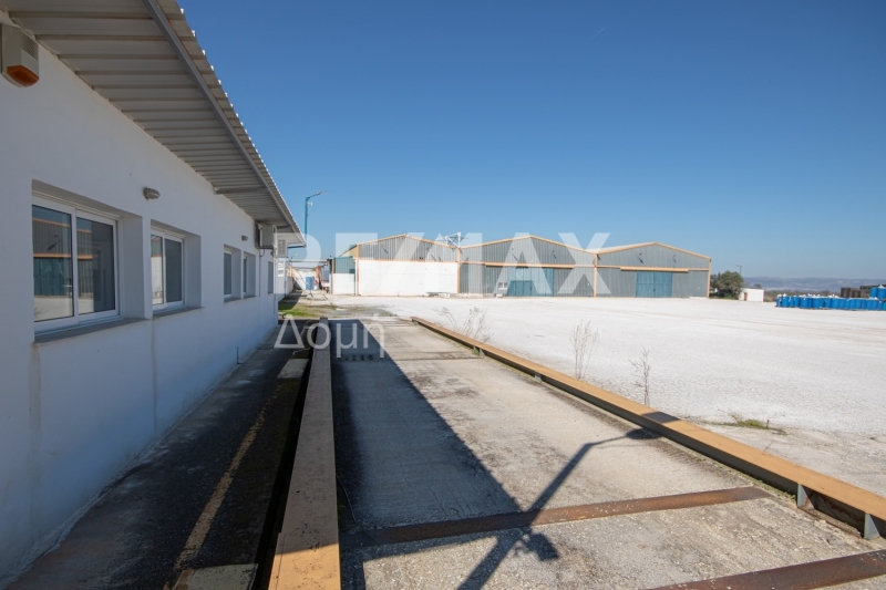 10 Bed, HouseFor Sale, Neos Platanos, Almiros, Magnesia