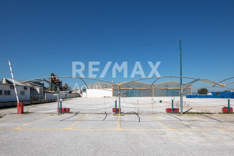 10 Bed, HouseFor Sale, Neos Platanos, Almiros, Magnesia