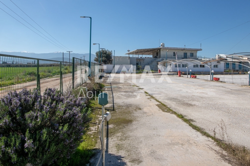 10 Bed, HouseFor Sale, Neos Platanos, Almiros, Magnesia