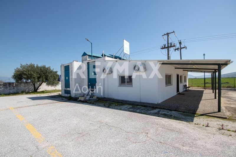 10 Bed, HouseFor Sale, Neos Platanos, Almiros, Magnesia