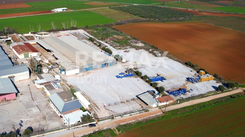 10 Bed, HouseFor Sale, Neos Platanos, Almiros, Magnesia