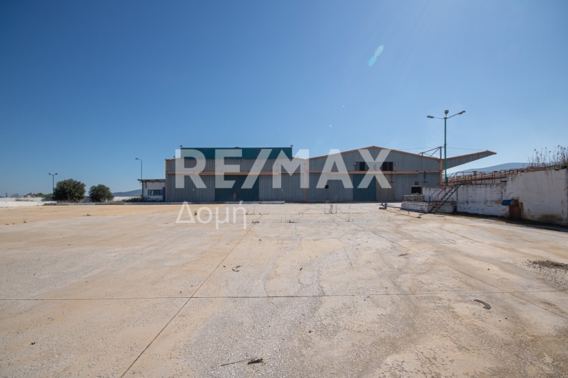 10 Bed, HouseFor Sale, Neos Platanos, Almiros, Magnesia