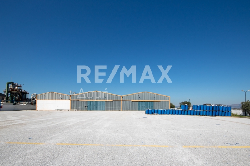 10 Bed, HouseFor Sale, Neos Platanos, Almiros, Magnesia