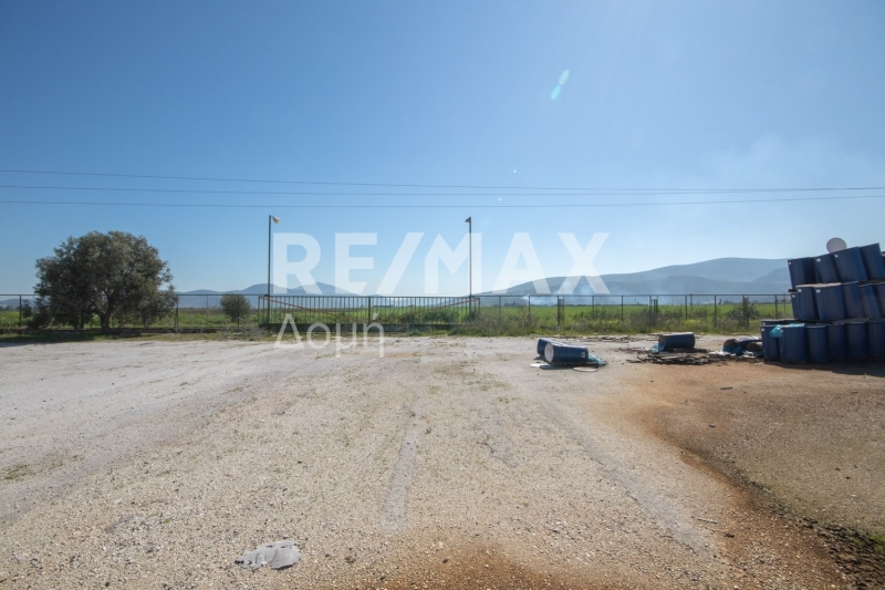 10 Bed, HouseFor Sale, Neos Platanos, Almiros, Magnesia