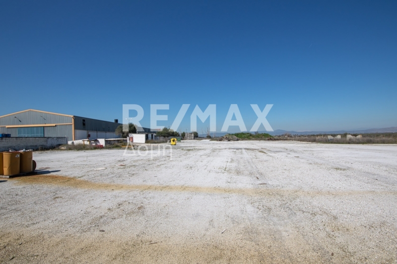 10 Bed, HouseFor Sale, Neos Platanos, Almiros, Magnesia