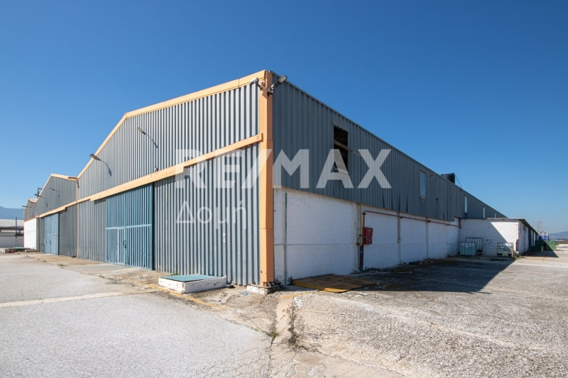 10 Bed, HouseFor Sale, Neos Platanos, Almiros, Magnesia