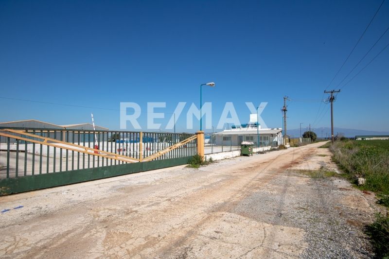 10 Bed, HouseFor Sale, Neos Platanos, Almiros, Magnesia