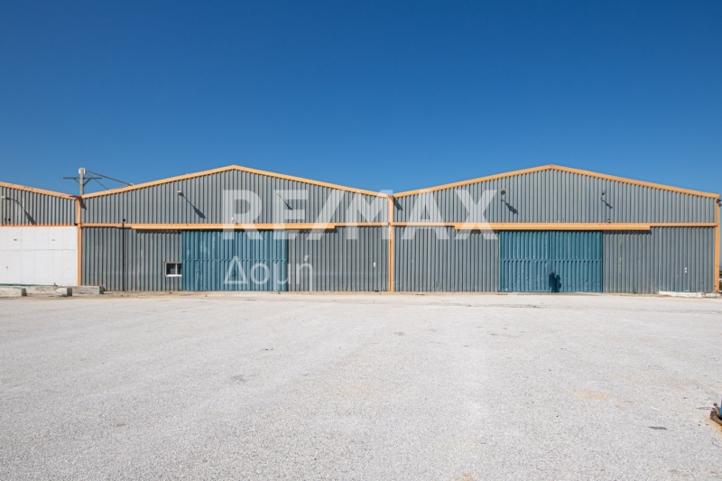 10 Bed, HouseFor Sale, Neos Platanos, Almiros, Magnesia