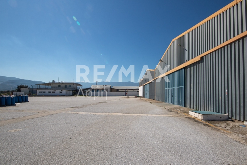 10 Bed, HouseFor Sale, Neos Platanos, Almiros, Magnesia