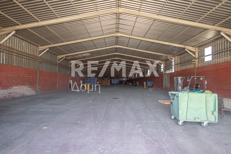 10 Bed, HouseFor Sale, Neos Platanos, Almiros, Magnesia