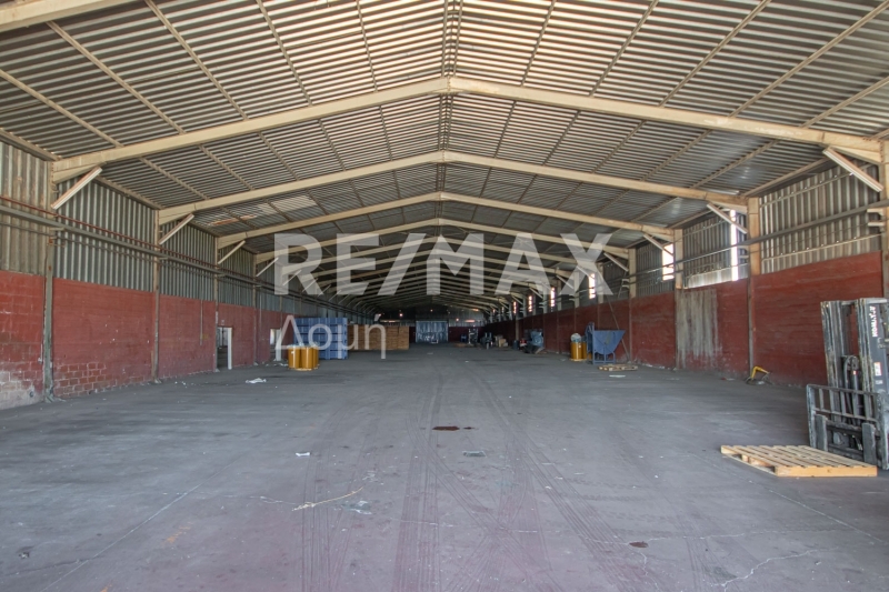 10 Bed, HouseFor Sale, Neos Platanos, Almiros, Magnesia