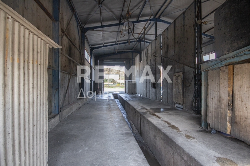 2 Bed, 1 Bath, HouseFor Sale, Dimini, Aisonia, Magnesia