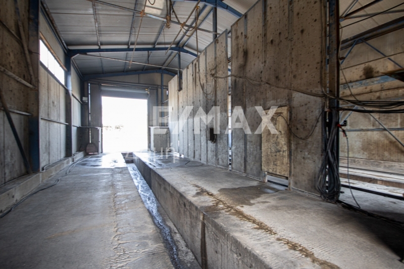 2 Bed, 1 Bath, HouseFor Sale, Dimini, Aisonia, Magnesia