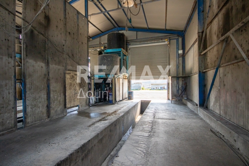 2 Bed, 1 Bath, HouseFor Sale, Dimini, Aisonia, Magnesia