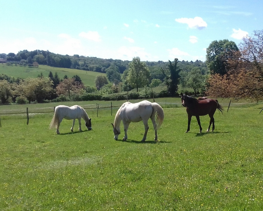 3 Bed, 1 Bath, HouseFor Sale, Cause De Clerans, Dordogne, Aquitaine, 24150
