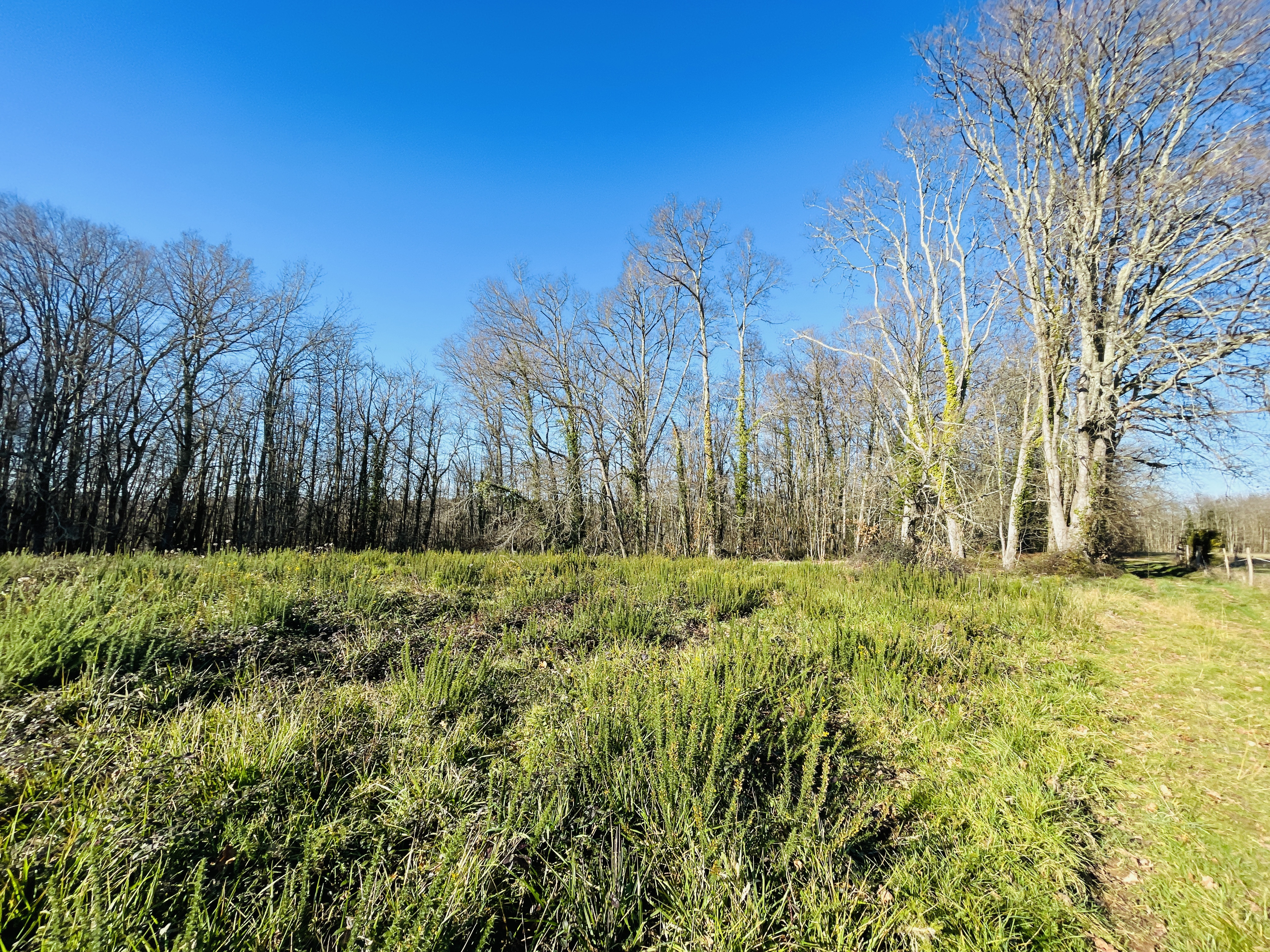 3 Bed, HouseFor Sale, Mouleydier, Dordogne, Aquitaine, 24520