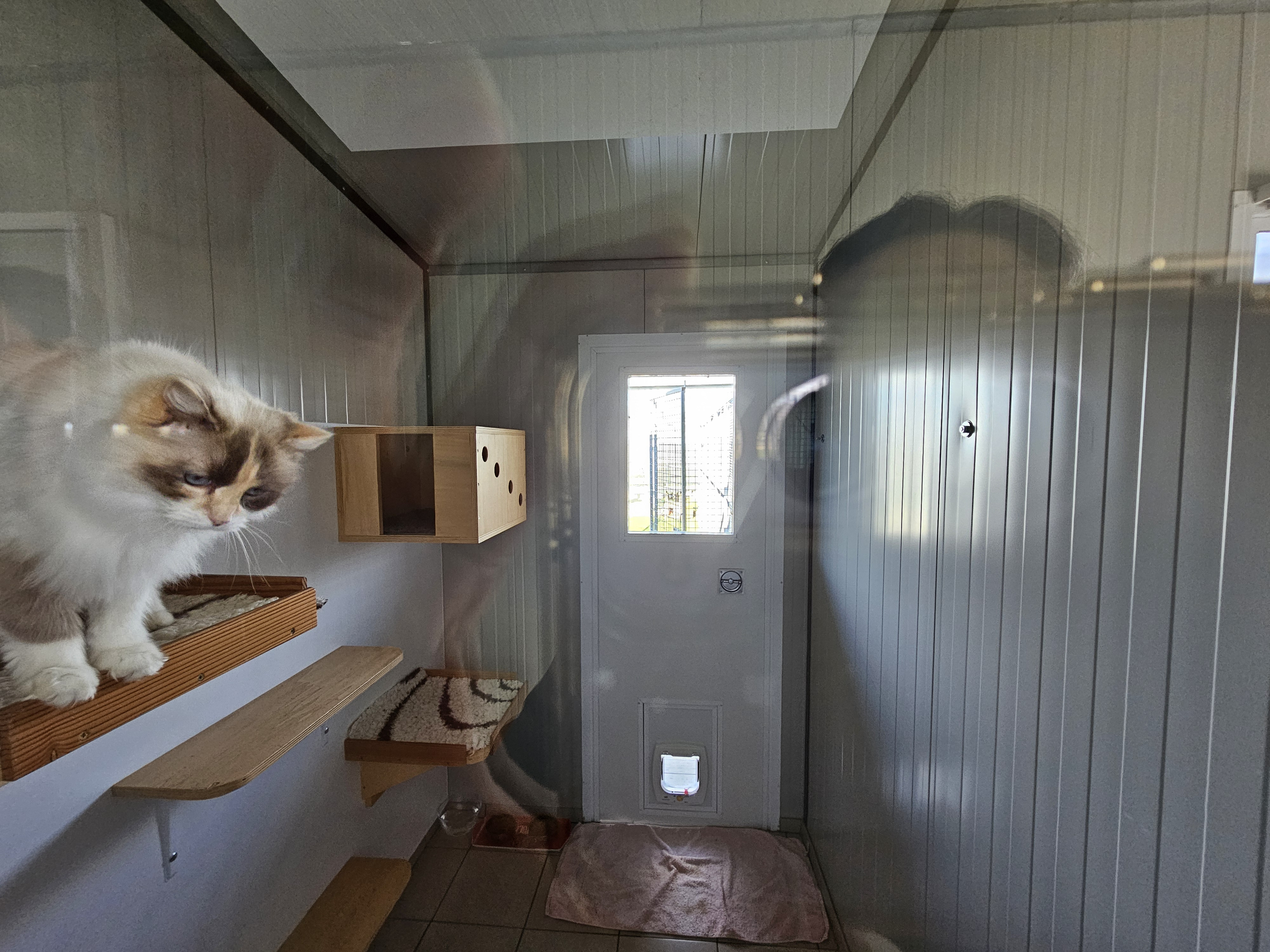 4 Bed, HouseFor Sale, Beaumont, Dordogne, Aquitaine, 24440