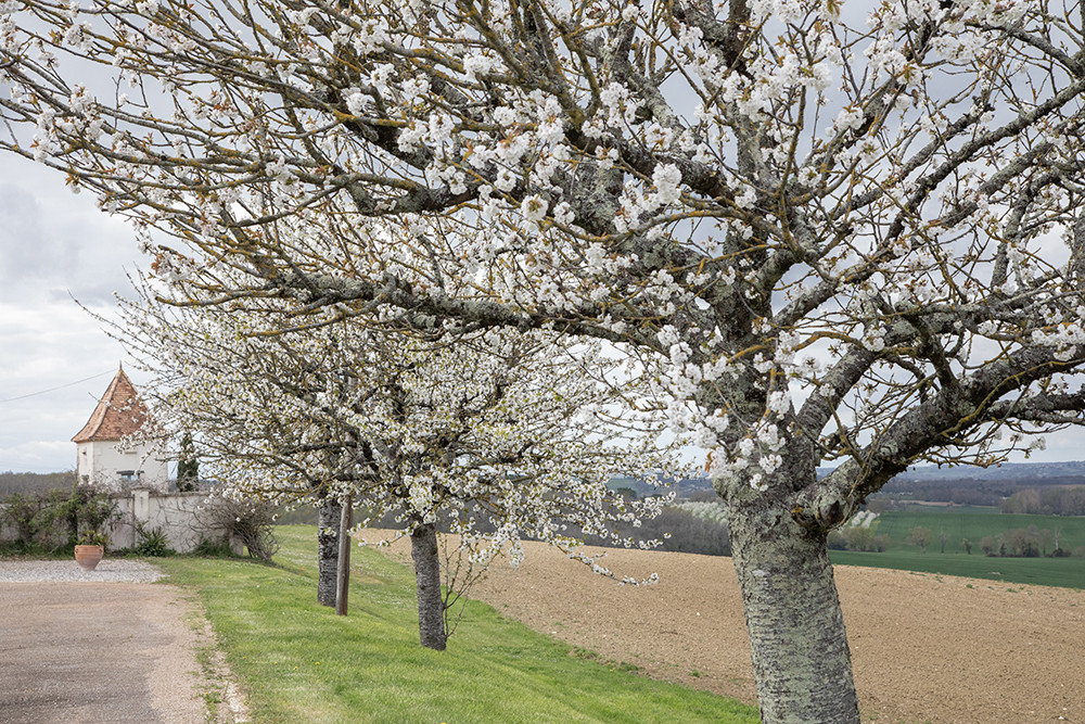 4 Bed, 2 Bath, HouseFor Sale, Cambes, Lot-et-Garonne, Aquitaine, 47350