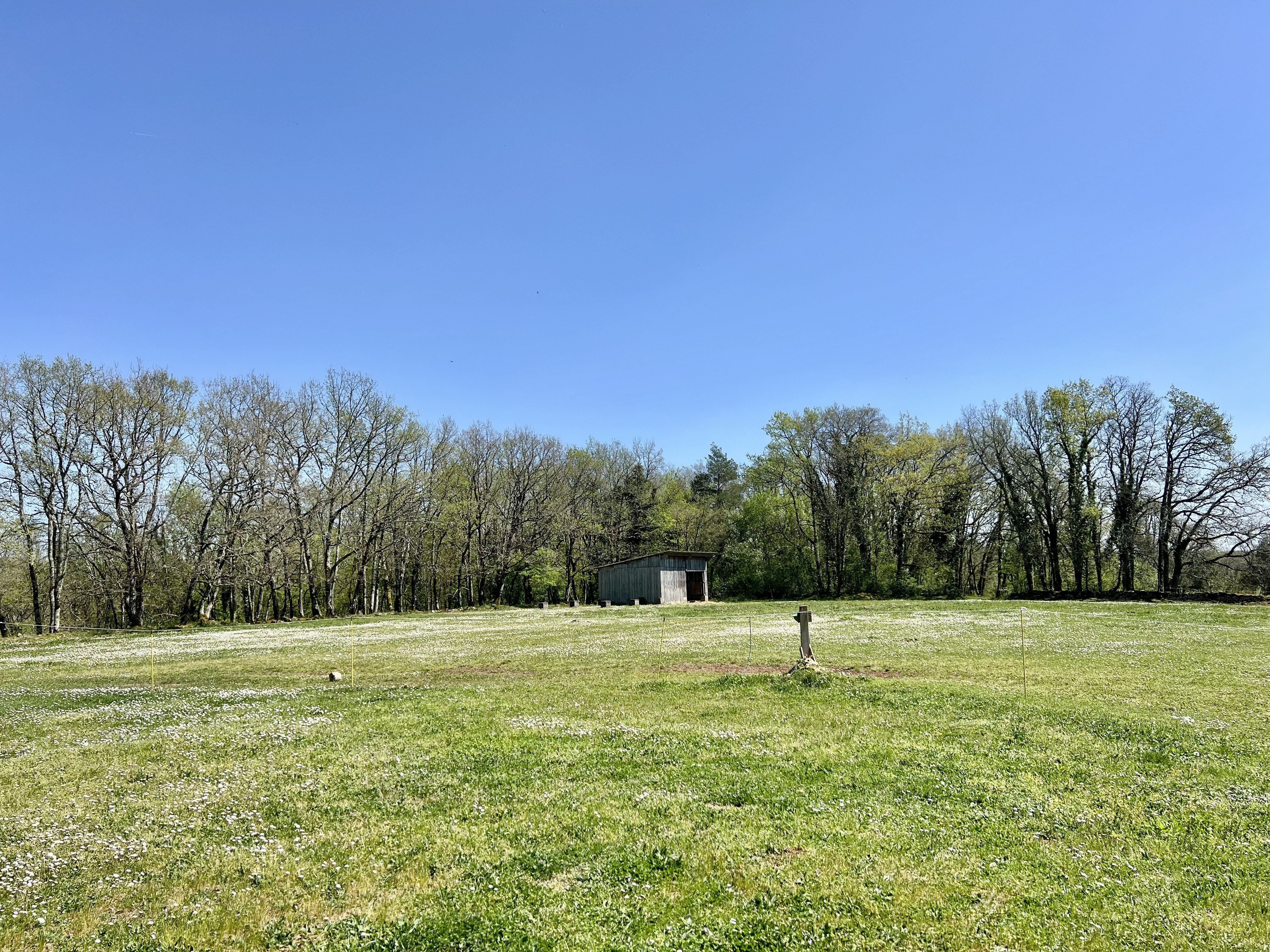 Commercial Property, For Sale