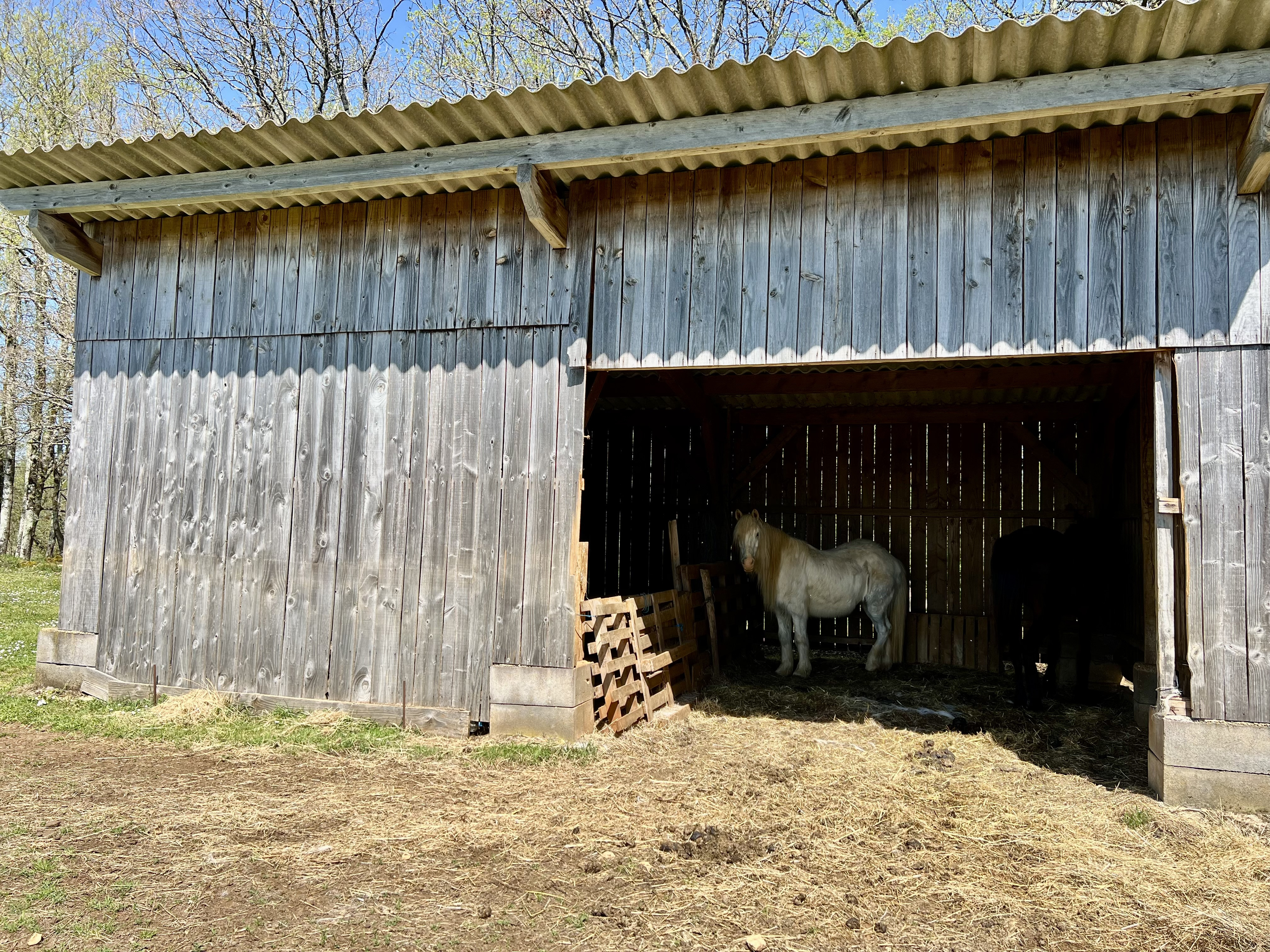 Commercial Property, For Sale