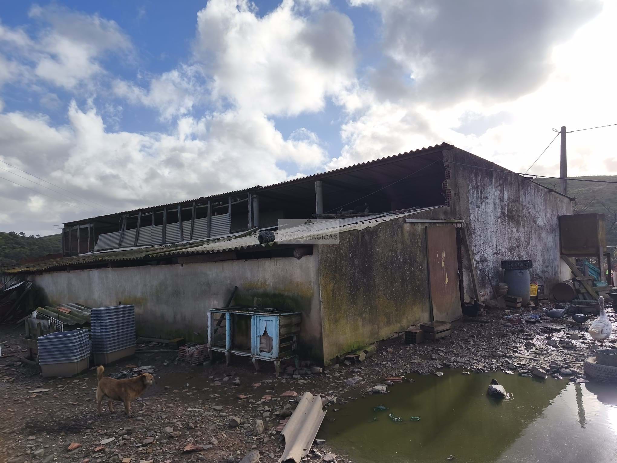 4 Bed, 1 Bath, HouseFor Sale, Monchique, Faro, 8550-128