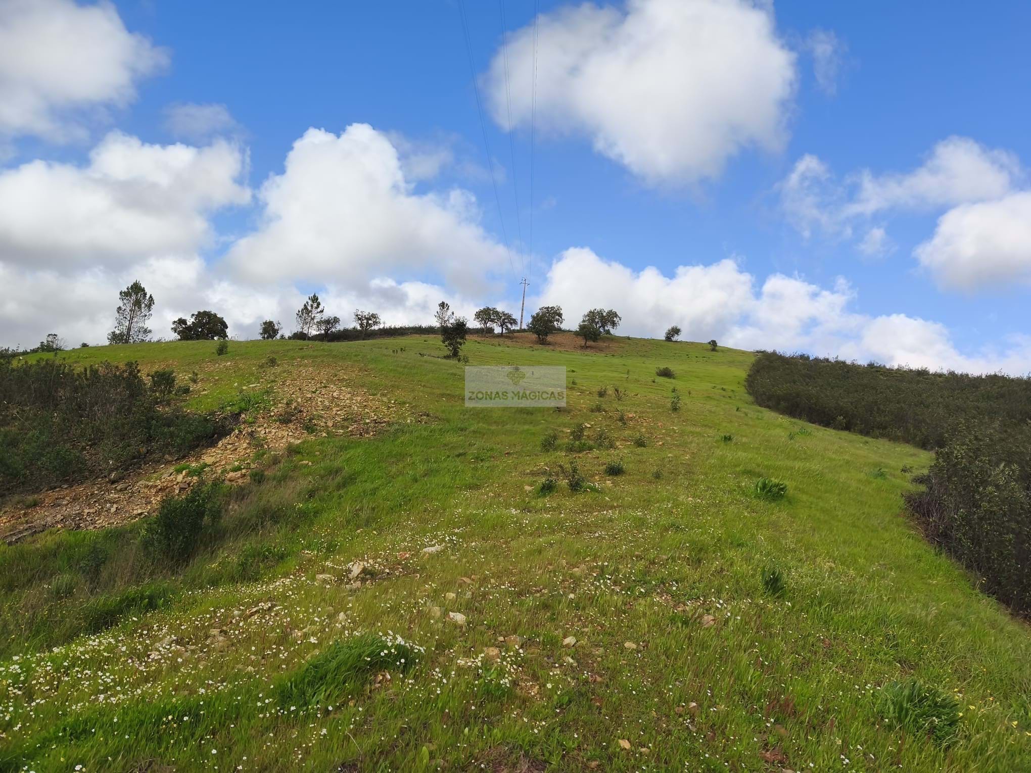 4 Bed, 1 Bath, HouseFor Sale, Monchique, Faro, 8550-128