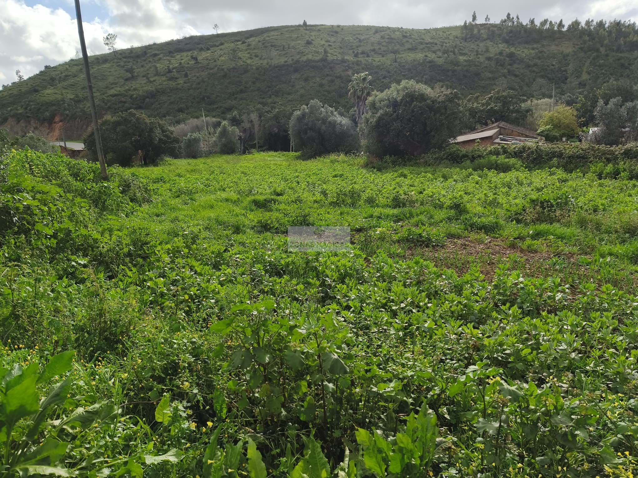 4 Bed, 1 Bath, HouseFor Sale, Monchique, Faro, 8550-128