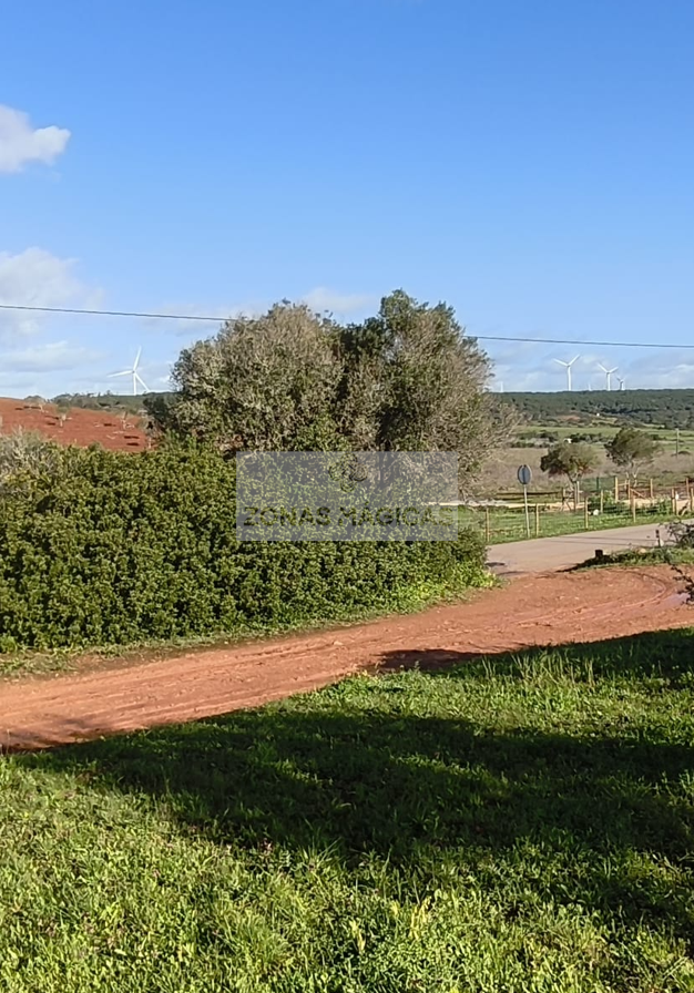 Land, For Sale
