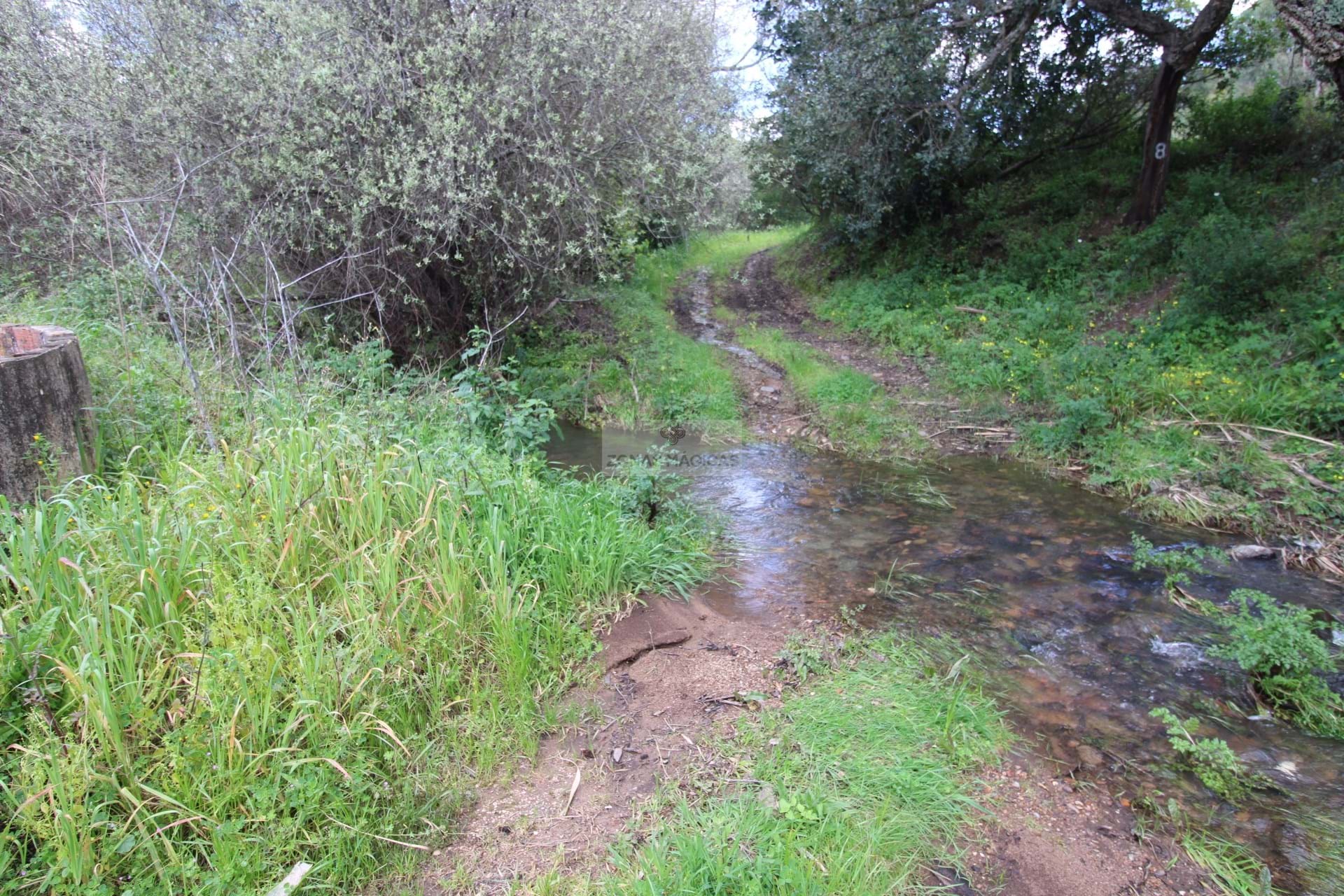 3 Bed, 1 Bath, HouseFor Sale, Monchique, Faro, 8550-145