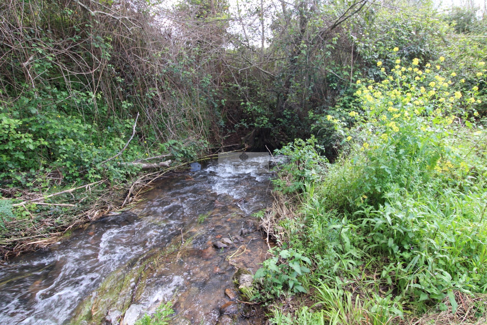 3 Bed, 1 Bath, HouseFor Sale, Monchique, Faro, 8550-145