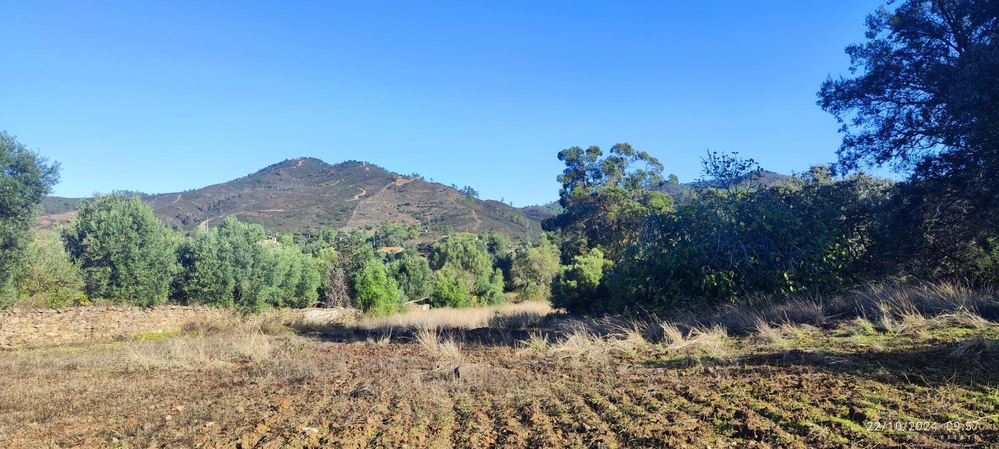 5 Bed, 1 Bath, HouseFor Sale, Loulé, Faro, 8100-202