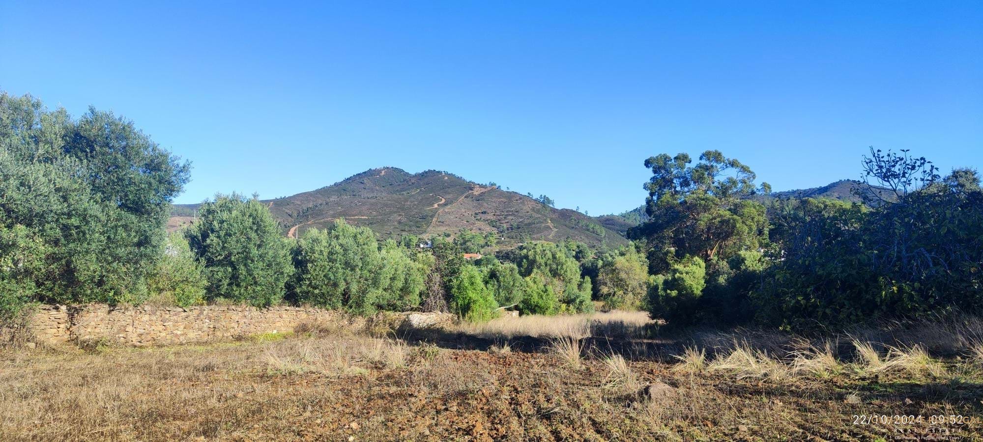 5 Bed, 1 Bath, HouseFor Sale, Loulé, Faro, 8100-202