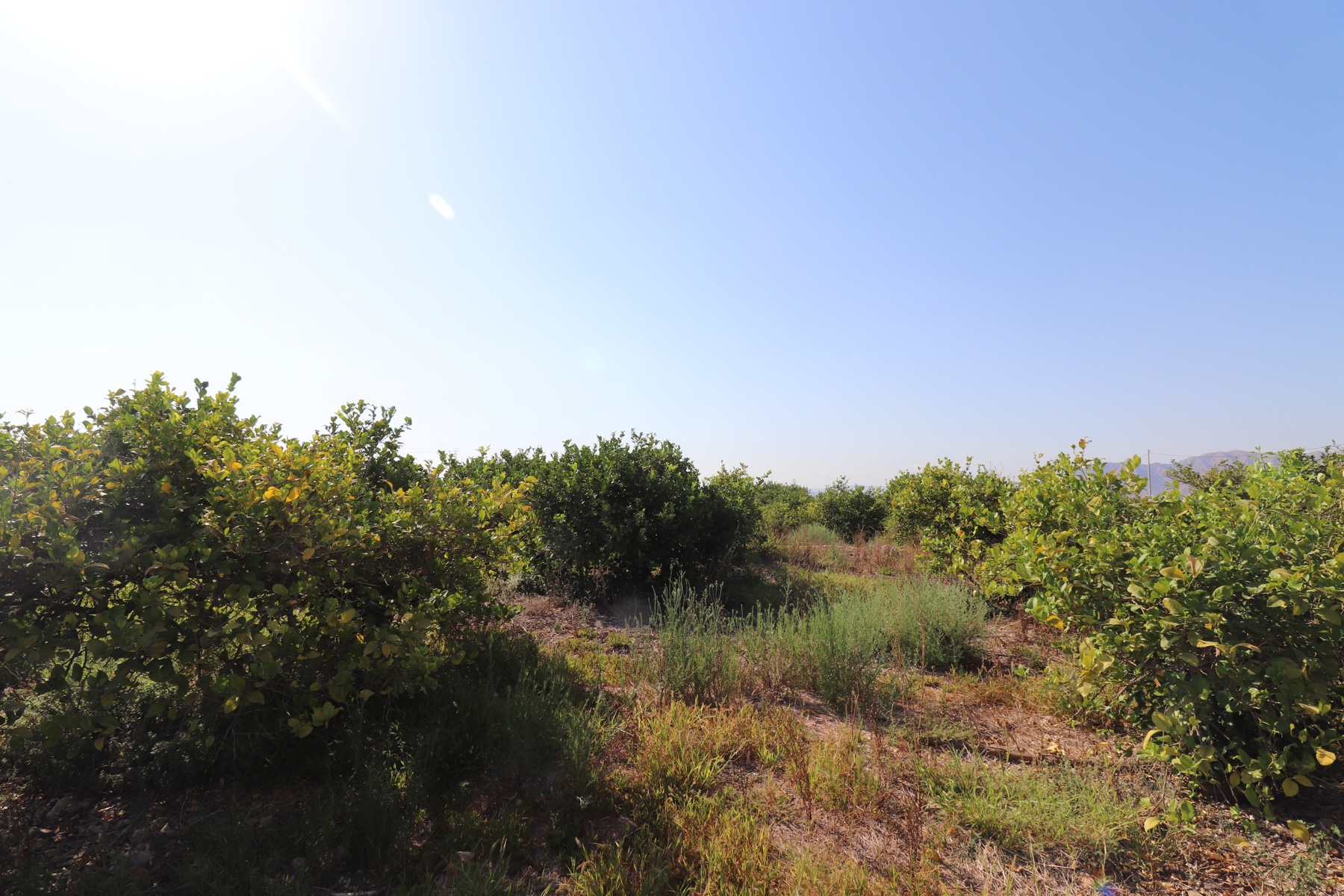 2 Bed, 1 Bath, HouseFor Sale, Albatera, Alicante