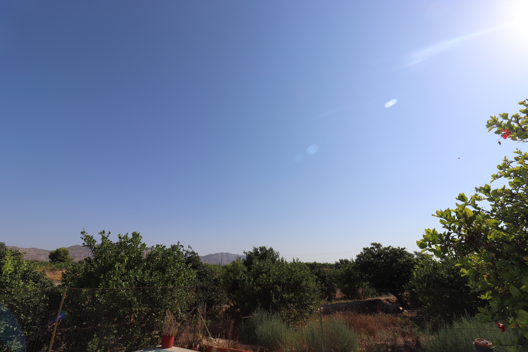 2 Bed, 1 Bath, HouseFor Sale, Albatera, Alicante