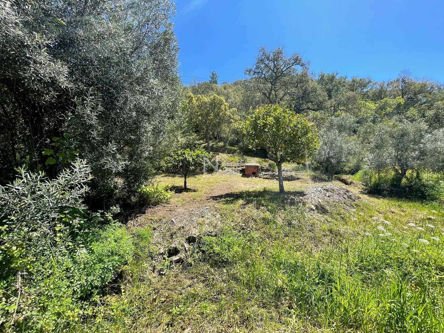 1 Bed, 1 Bath, ApartmentFor Sale, Phuket, Katu, Center