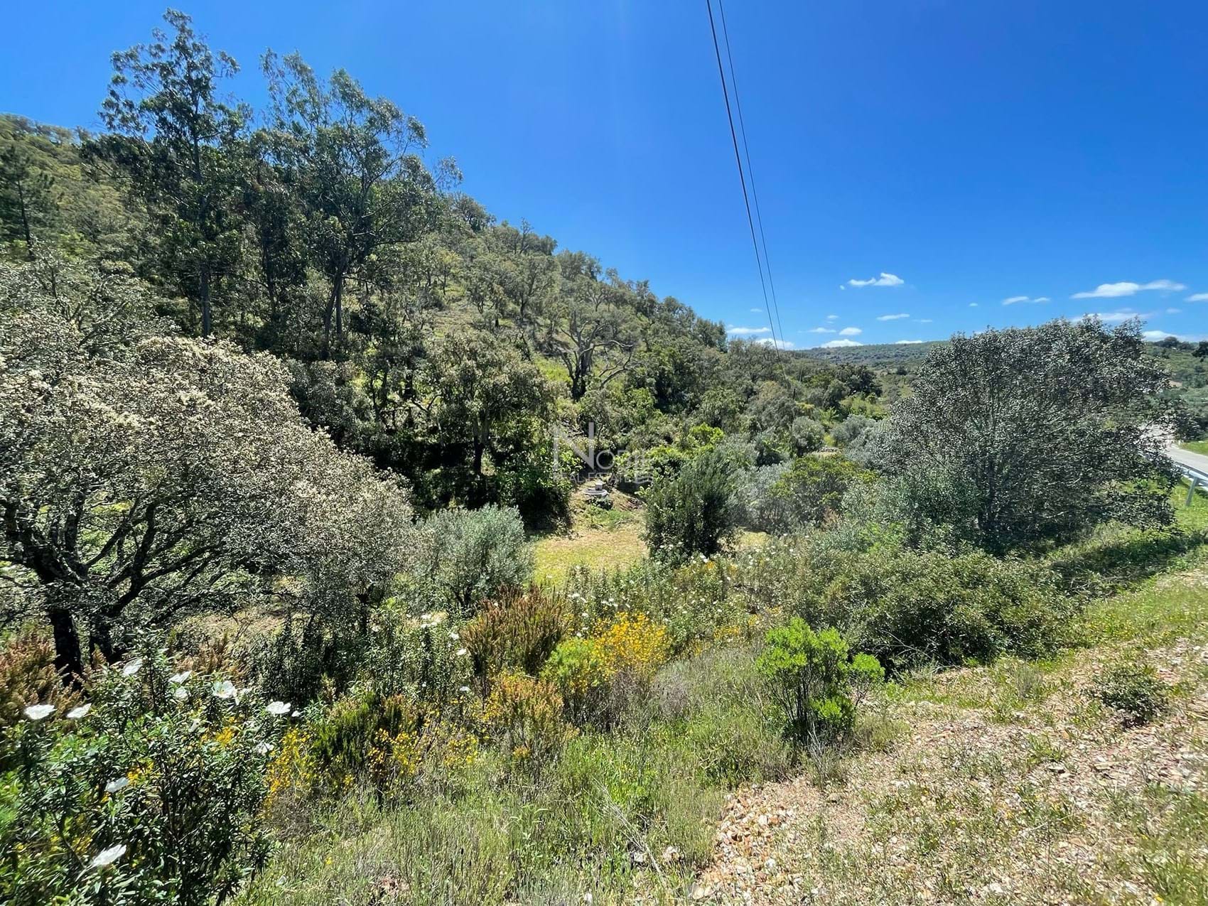 1 Bed, 1 Bath, ApartmentFor Sale, Phuket, Katu, Center