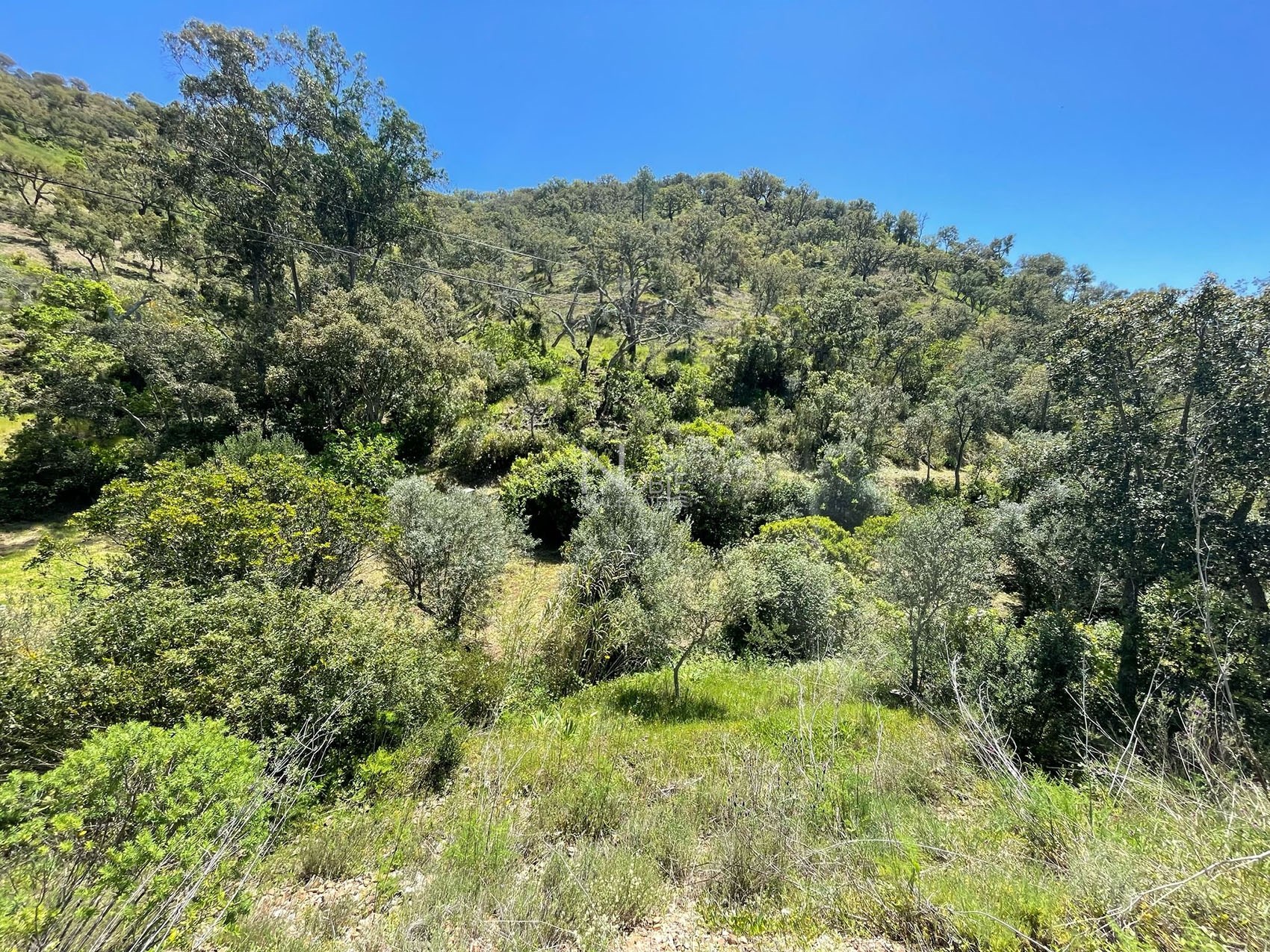 1 Bed, 1 Bath, ApartmentFor Sale, Phuket, Katu, Center