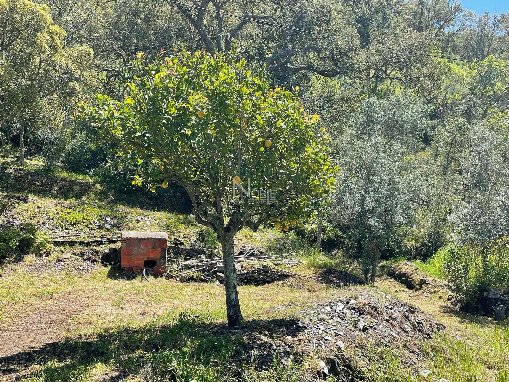 1 Bed, 1 Bath, ApartmentFor Sale, Phuket, Katu, Center