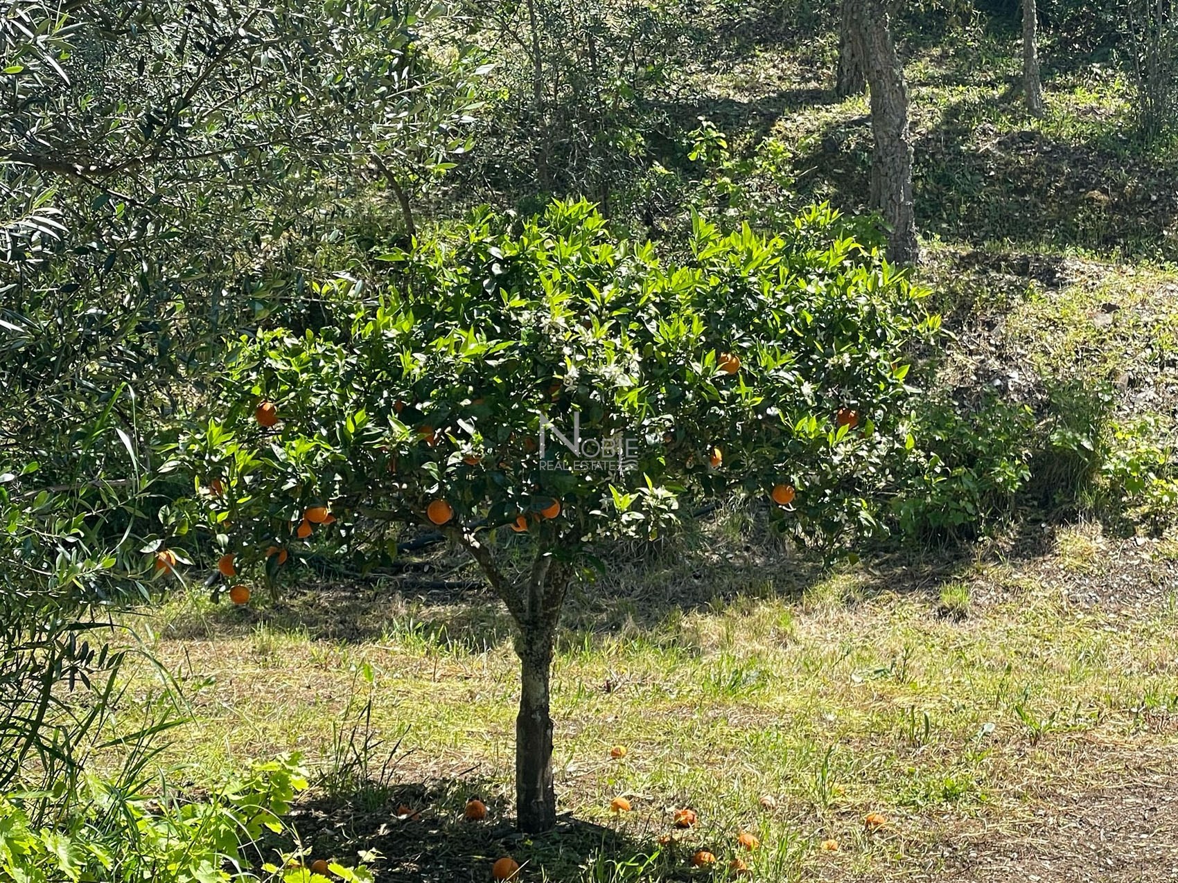 1 Bed, 1 Bath, ApartmentFor Sale, Phuket, Katu, Center