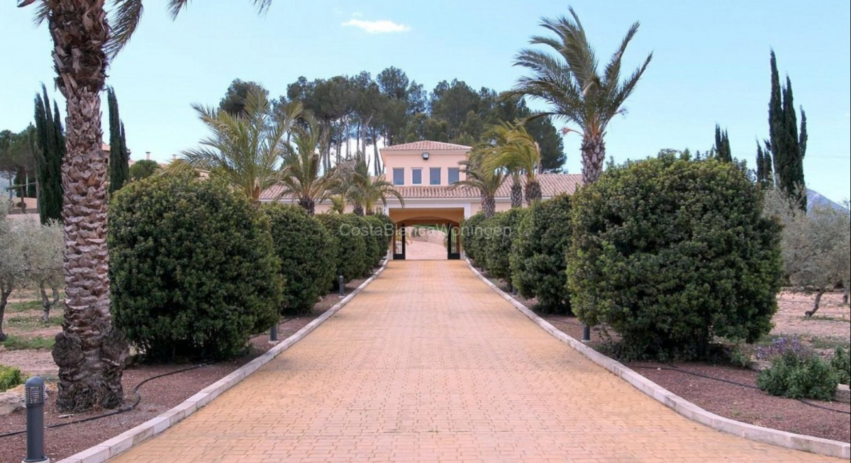 6 Bed, 8 Bath, HouseFor Sale, Penaguila, Alicante