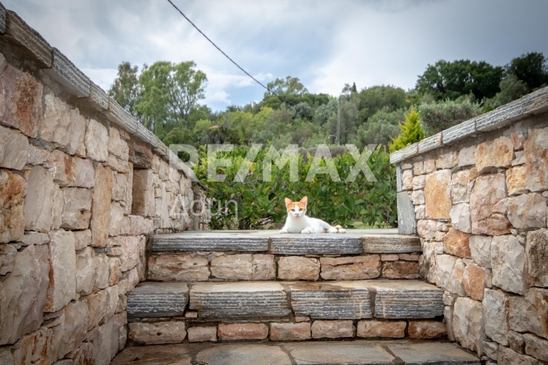 4 Bed, 4 Bath, HouseFor Sale, Main town - Chora, Alonnisos, Sporades 4 Bed, 4 Bath, HouseFor Sale, Main town - Chora, Alonnisos, Sporades