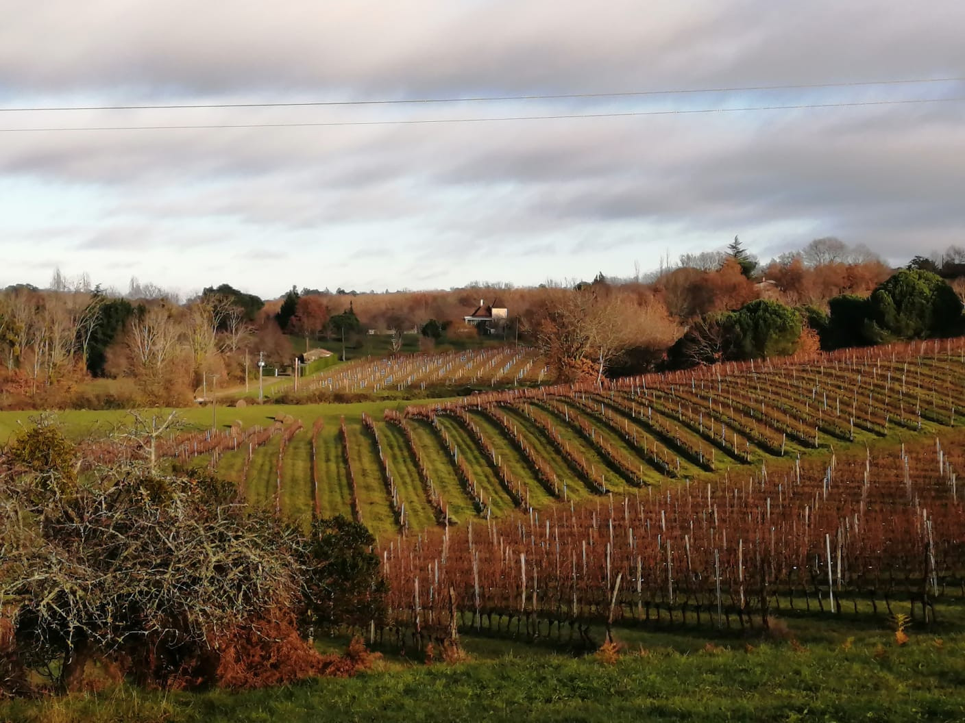 5 Bed, 2 Bath, HouseFor Sale, Bergerac, Dordogne, Aquitaine, 24100