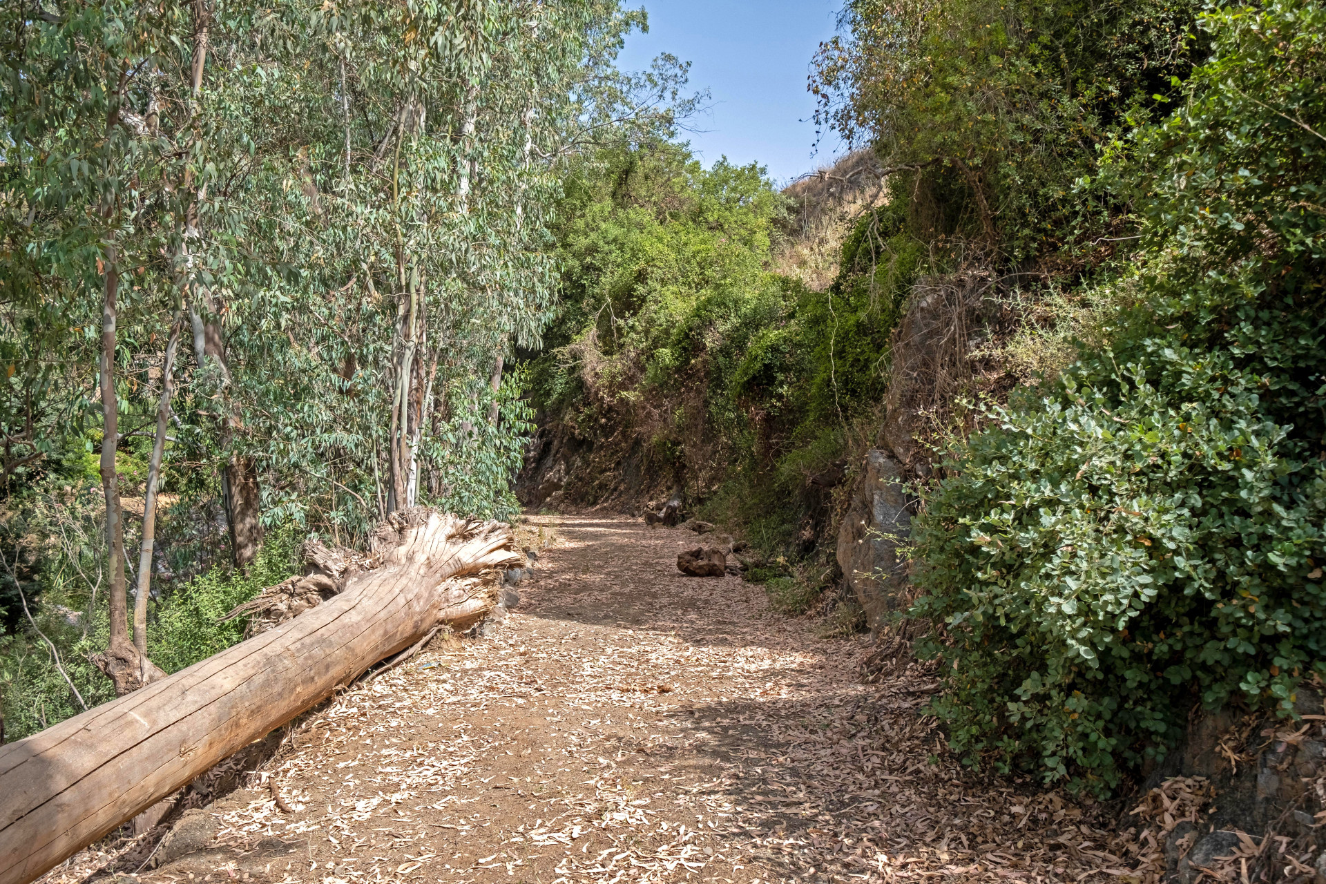 4 Bed, 3 Bath, HouseFor Sale, Coin, Malaga