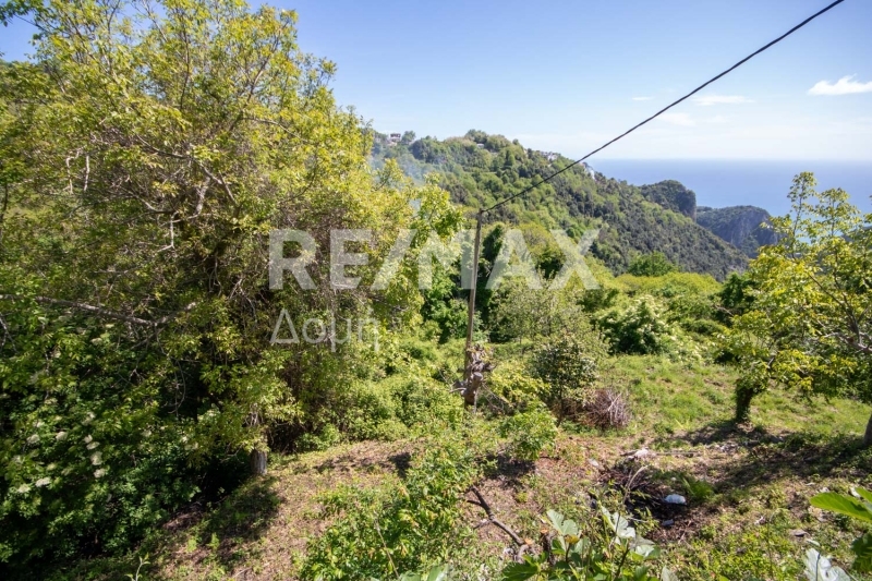 3 Bed, 3 Bath, HouseFor Sale, Tsagkarada, Mouresi, Magnesia