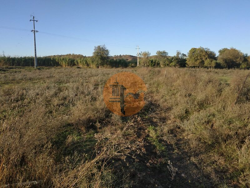 Land, For Sale