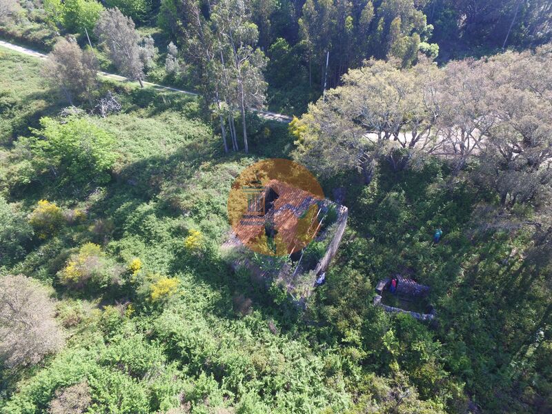 Land, For Sale