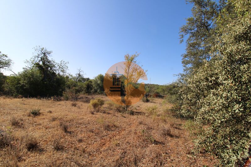 Land, For Sale